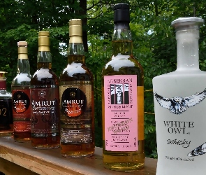 Alkohol, Ogród, Półka, Whisky