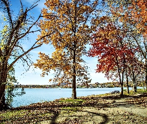 Jesień, Krajobraz, Kolorowe Drzewa, Jezioro, Park