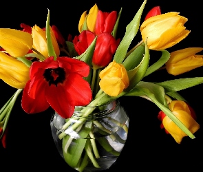 Bukiet, Tulipanów, Czerwonych, Żółto