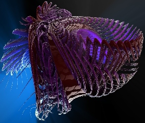 Obcy, 3D