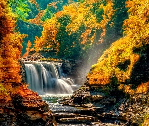 Jesień, Drzewa, Wodospad, Skałki, Rzeczka, Kamienie