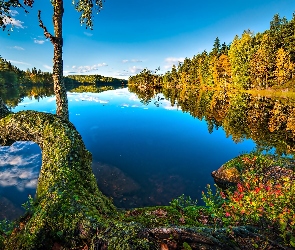 Norwegia, Jezioro, Odbicie, Drzewo, Lasy, Jesień, Jezioro