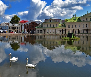 Łabędzie, Odbicie, Obłoki, Rzeka, Domy