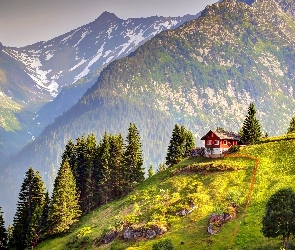 Góry Alpy, Dom, Szwajcaria
