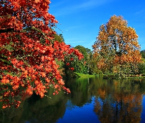 Kolorowe Drzewa, Jesień, Park, Staw