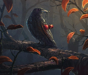 Czereśnie, Gawron