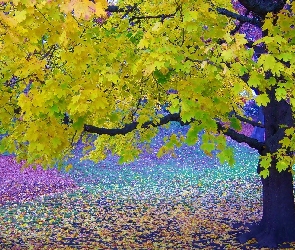 Drzewa, Jesień, Liście, Park, Kolorowe