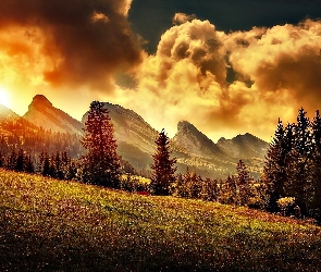 Słońca, Zachód, Lasy, Góry, Chmury, Piękny