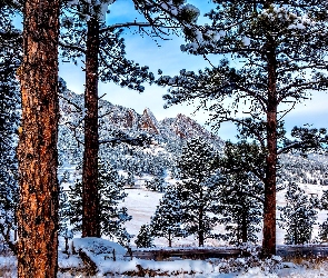 Zima, Drzewa, Góry, Droga