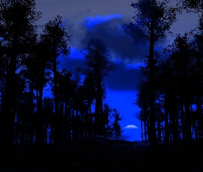 Noc, Drzewo, Niebo, Niebieskie