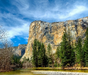 Stan Kalifornia, Drzewa, Góry, Park Narodowy Yosemite, Stany Zjednoczone