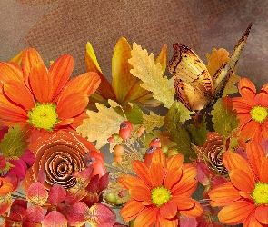 Liście, Motyl, Kwiaty