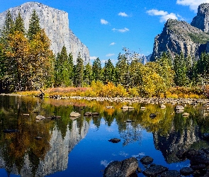 Drzewa, Góry, Stan Kalifornia, Stany Zjednoczone, Park Narodowy Yosemite, Rzeka