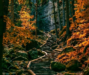 Jesień, Skały, Las, Ścieżka