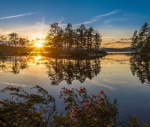 Drzewa, Jezioro, Norwegia, Wschód Słońca