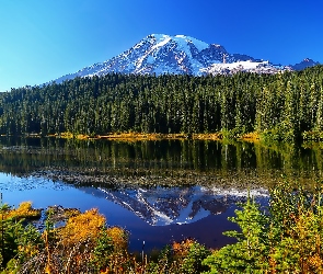 Jezioro, Las, Stan Waszyngton, Stany Zjednoczone, Park Narodowy Mount Rainier, Góry