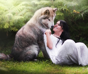 Siberian Husky, Brunetka, Pies