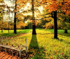 Ławeczka, Ławka, Jesień, Park