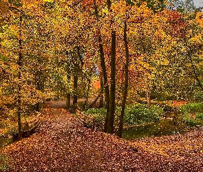 Jesień, Park