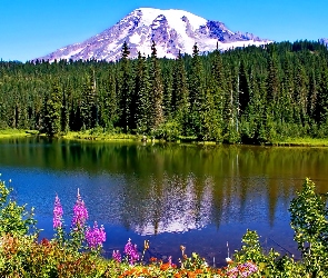 Stany Zjednoczone, Stan Waszyngton, Jezioro, Stratowulkan Mount Rainier, Góry, Park Narodowy Mount Rainier