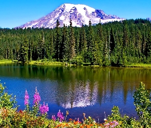 Stany Zjednoczone, Stan Waszyngton, Jezioro, Stratowulkan Mount Rainier, Góry, Park Narodowy Mount Rainier