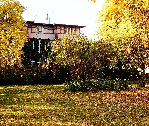 Drzewa, Budynek, Jesień