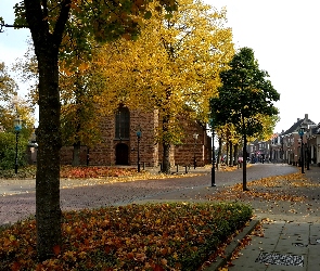 Holandia, Kamienice, Ulica, Jesień