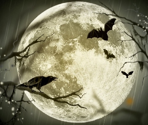 Halloween, Grafika, Księżyc