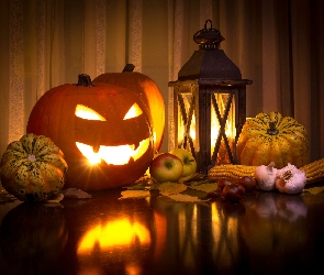 Halloween, Lampion, Dynia