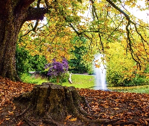 Jesień, Park