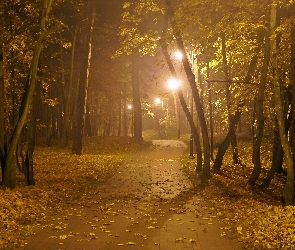 Park, Alejka, Latarnie, Drzewa, Noc