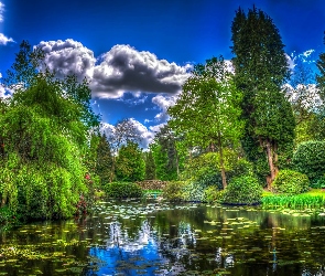 HDR, Chmury, Park, Staw