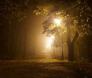 Park, Drzewa, Mgła, Alejka, Latarnie, Noc