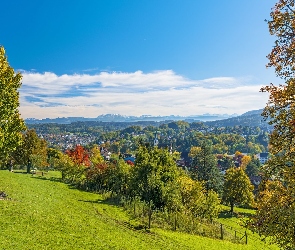 Langnau, Szwajcaria, Miasto