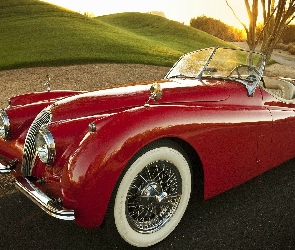 1954, Roadster, XK, 120, Jaguar