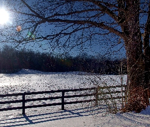 Drzewa, Słońce, Śnieg , Ogrodzenie, Zima