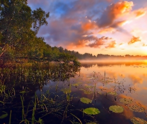 Wschód Słońca, Mgła, Jezioro, Las