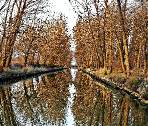 Drzewa, Kanał, Jesień
