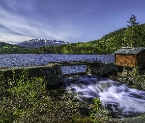 Szopa, Norwegia, Lasy, Jezioro, Góry