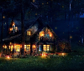 Świetliki, Noc, Oświetlony Dom, Las