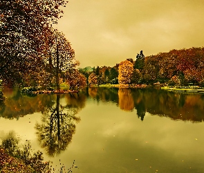 Jesień, Park, Jezioro, Lasy