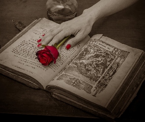 Dłoń, Róża, Książka
