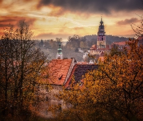 Drzewa, Kościół, Domy, Mgła, Jesień
