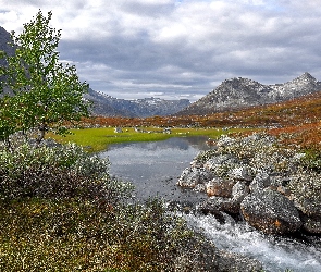 Drzewo, Rzeczka, Rezerwat przyrody Vermedalen, Góry, Kamienie, Norwegia, Wzgórza