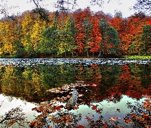 Jezioro, Odbicie
