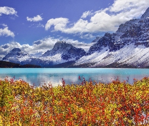 Góry, Jezioro Bow Lake, Kanada, Park Narodowy Banff