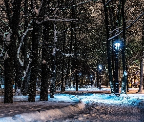 Alejka Latarnie, Nocą, Sankt, Rosja, Petersburg, Park