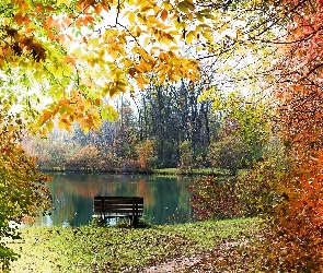 Jesień, Ścieżka, Staw, Park, Drzewa, Ławka