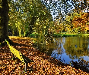 Ławka, Staw, Jesień, Park