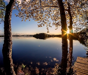 Jezioro, Drzewa, Słońca, Promienie